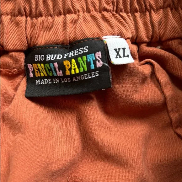 Big Bud Press Work Pants in terracotta - Picture 6 of 6